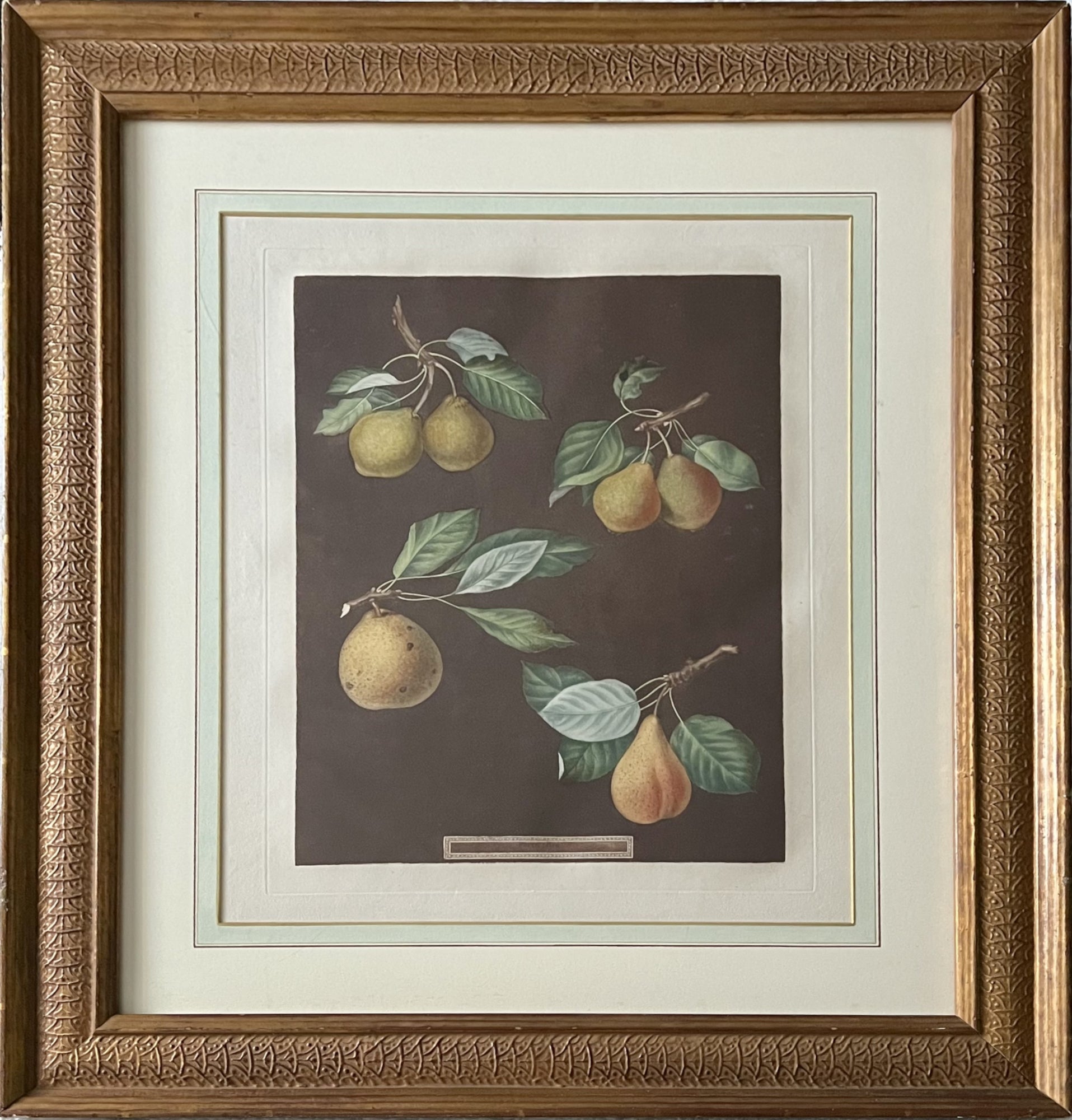 Plate LXXVIII (78)- By George Brookshaw