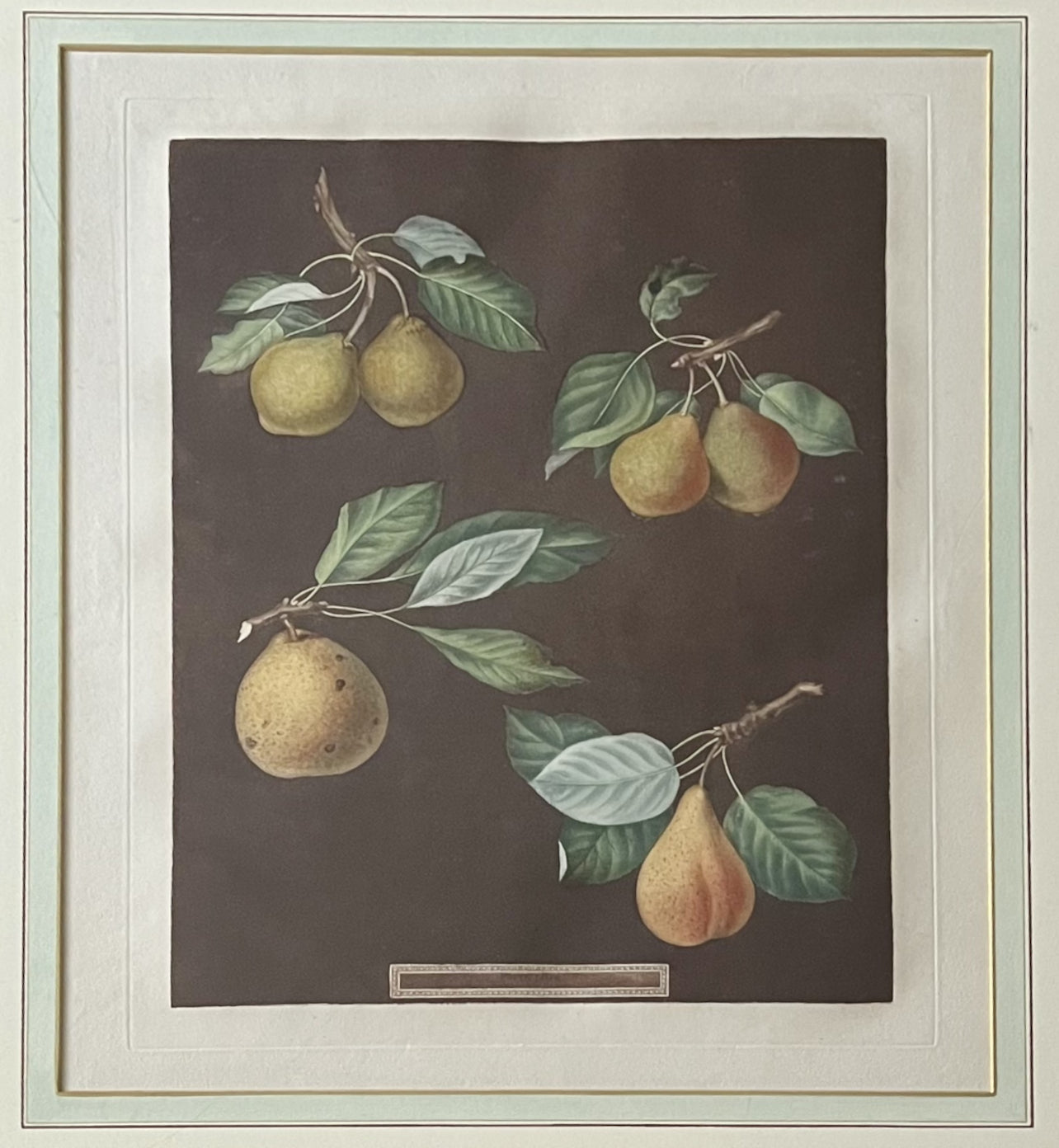 Plate LXXVIII (78)- By George Brookshaw