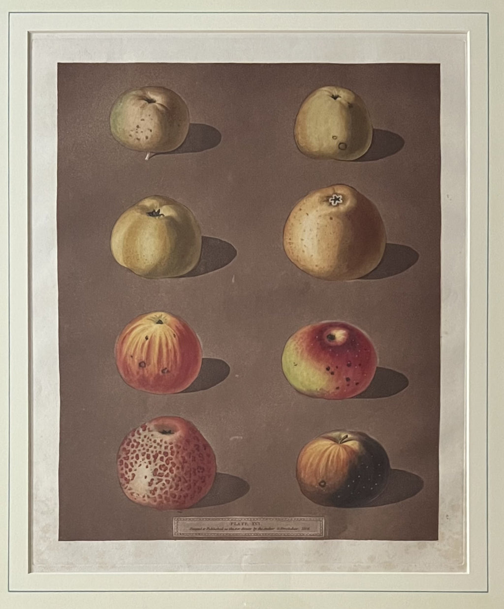 Plate XCI (91)- By George Brookshaw