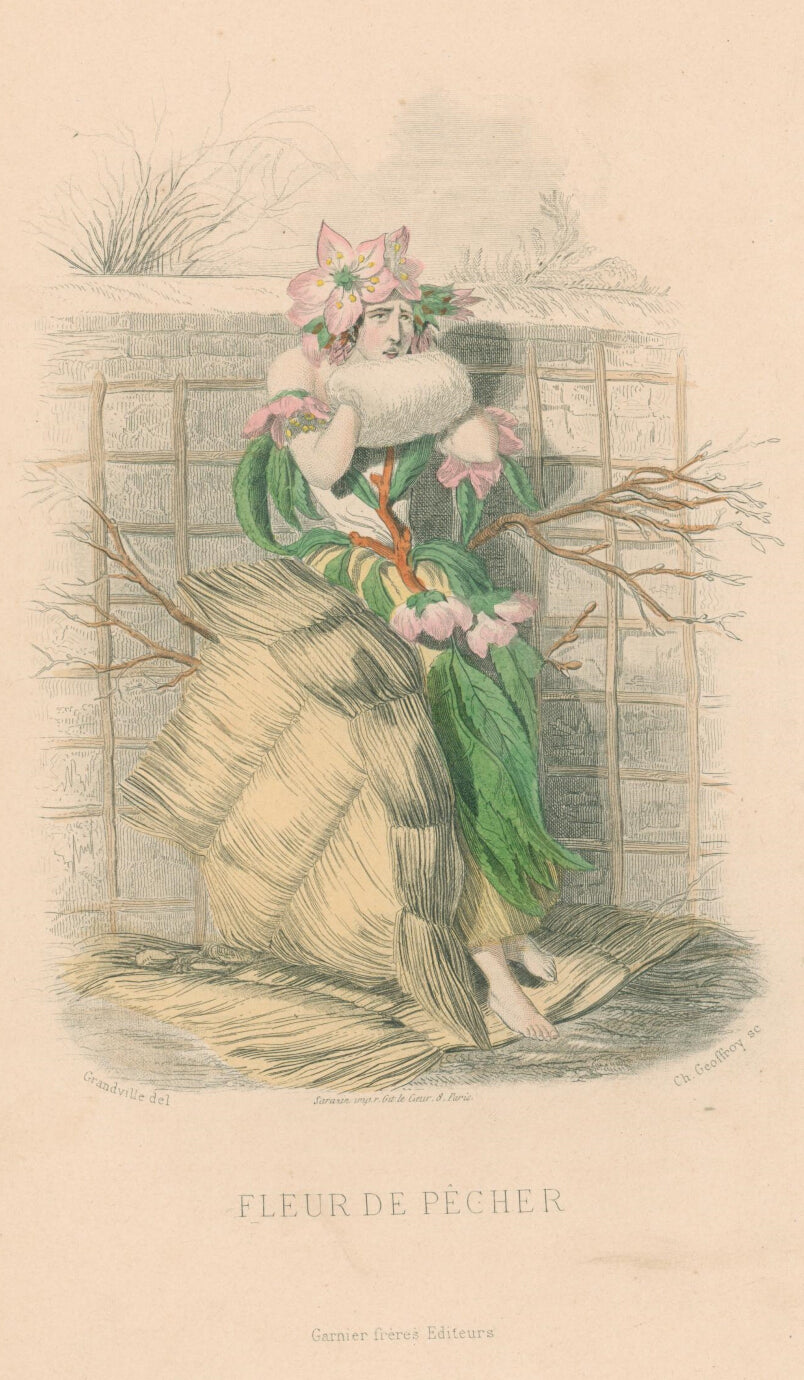 Fleur de Pecher- By J.J. Grandville