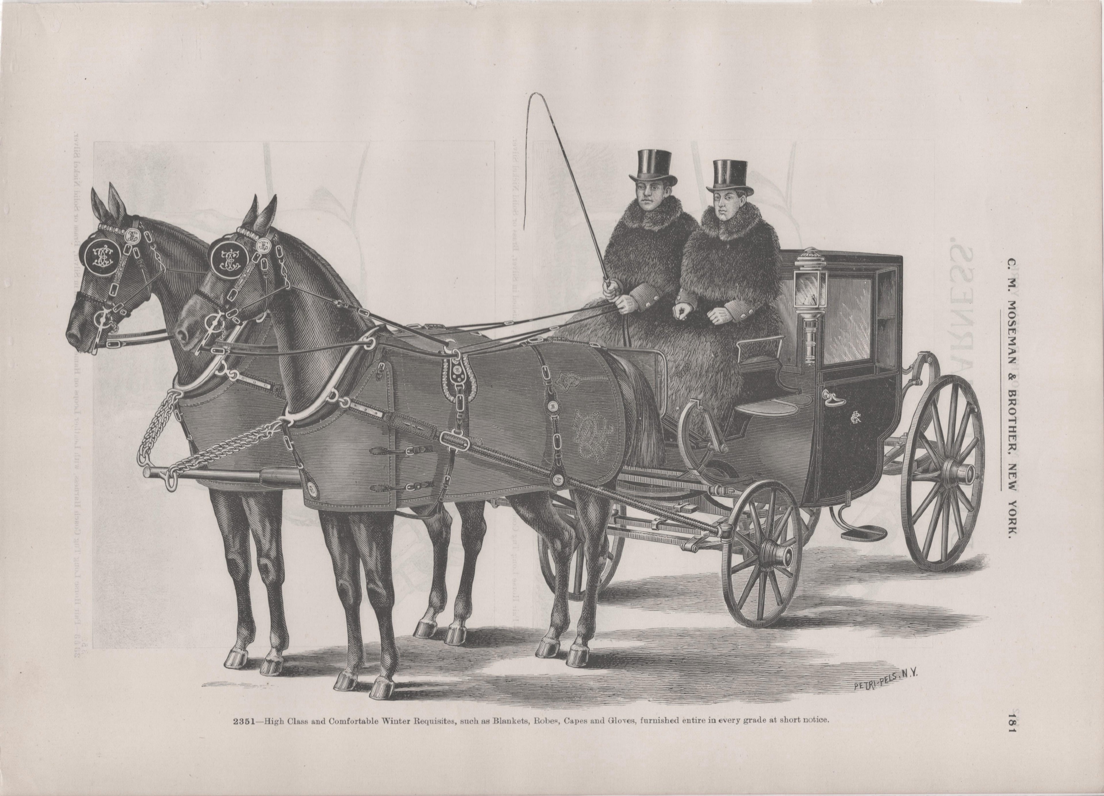 [Horse Carriage]