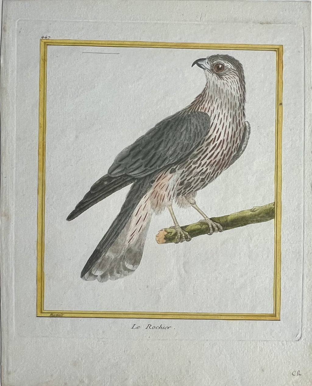 Pl. 447 Le Rochier- By Francois Martinet