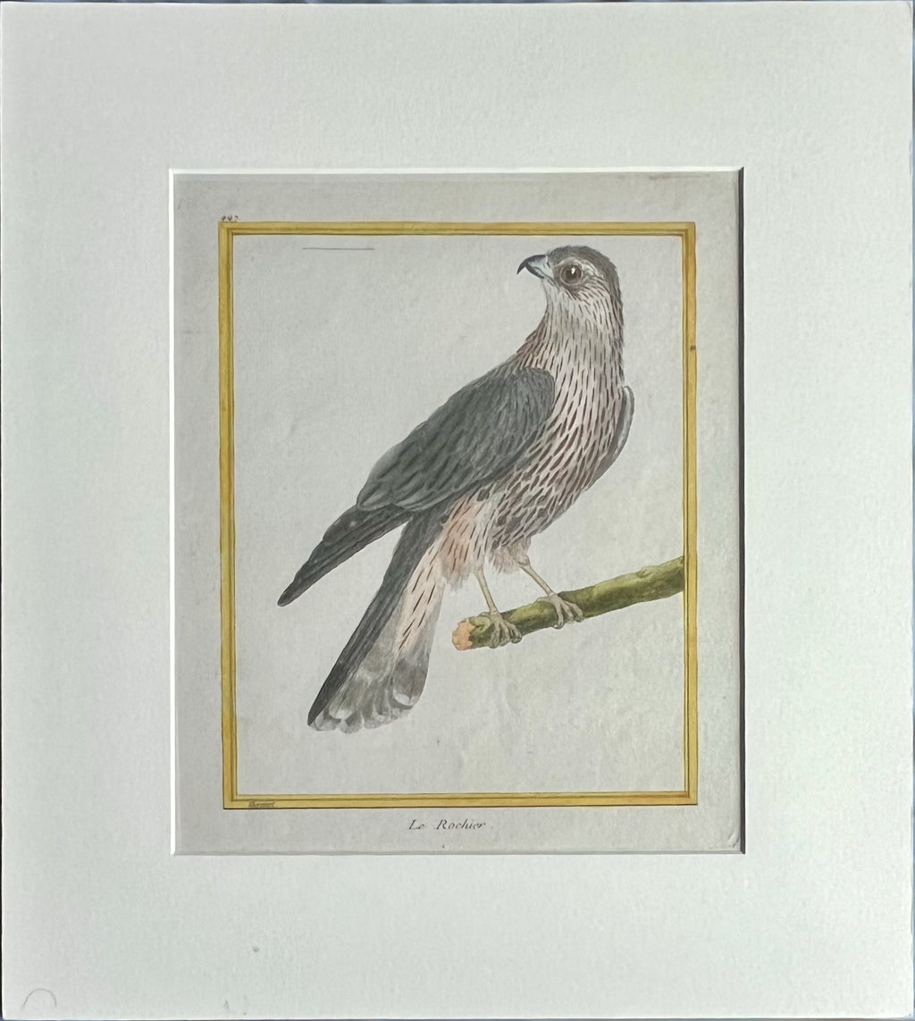 Pl. 447 Le Rochier- By Francois Martinet