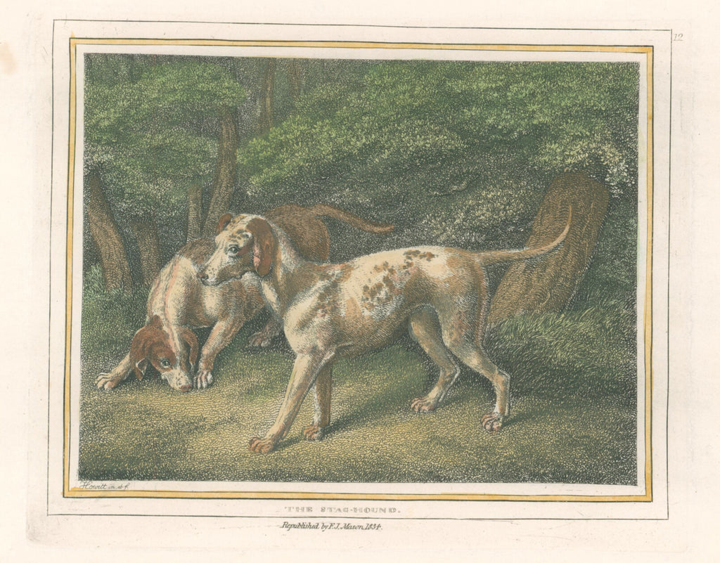 The Stag-Hound- By Edward Orme