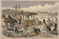 Strawberry Culture, New Jersey- Pickers in the Field- By Theo. R. Davis