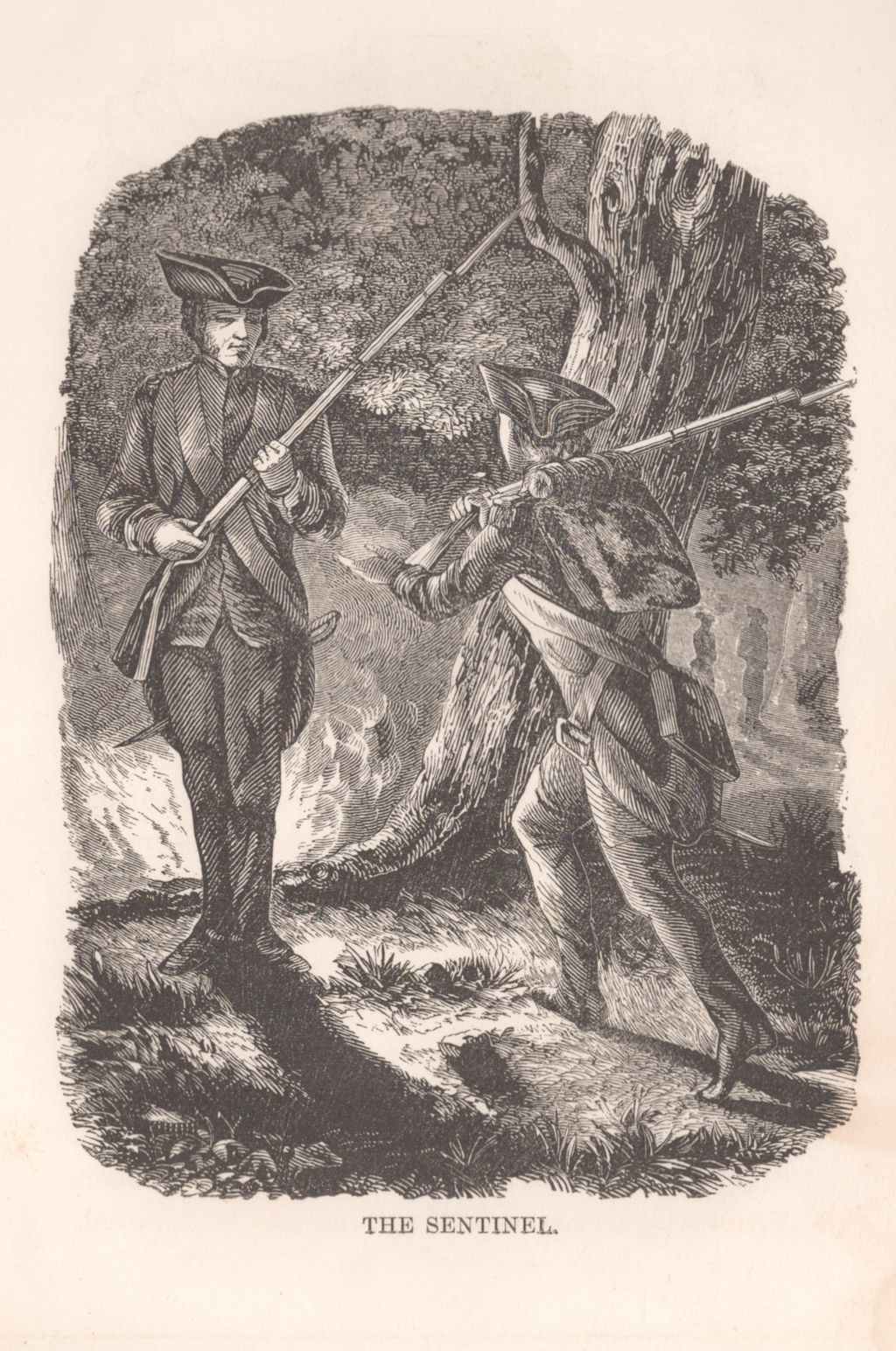 The Sentinel- Unattributed