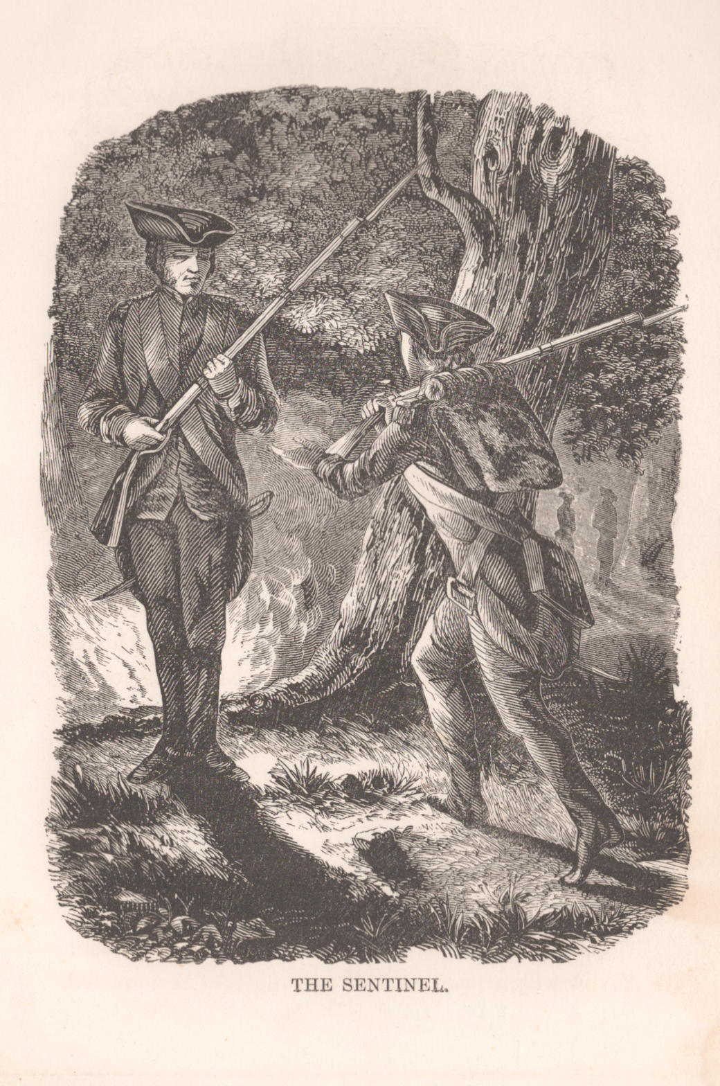 The Sentinel- Unattributed