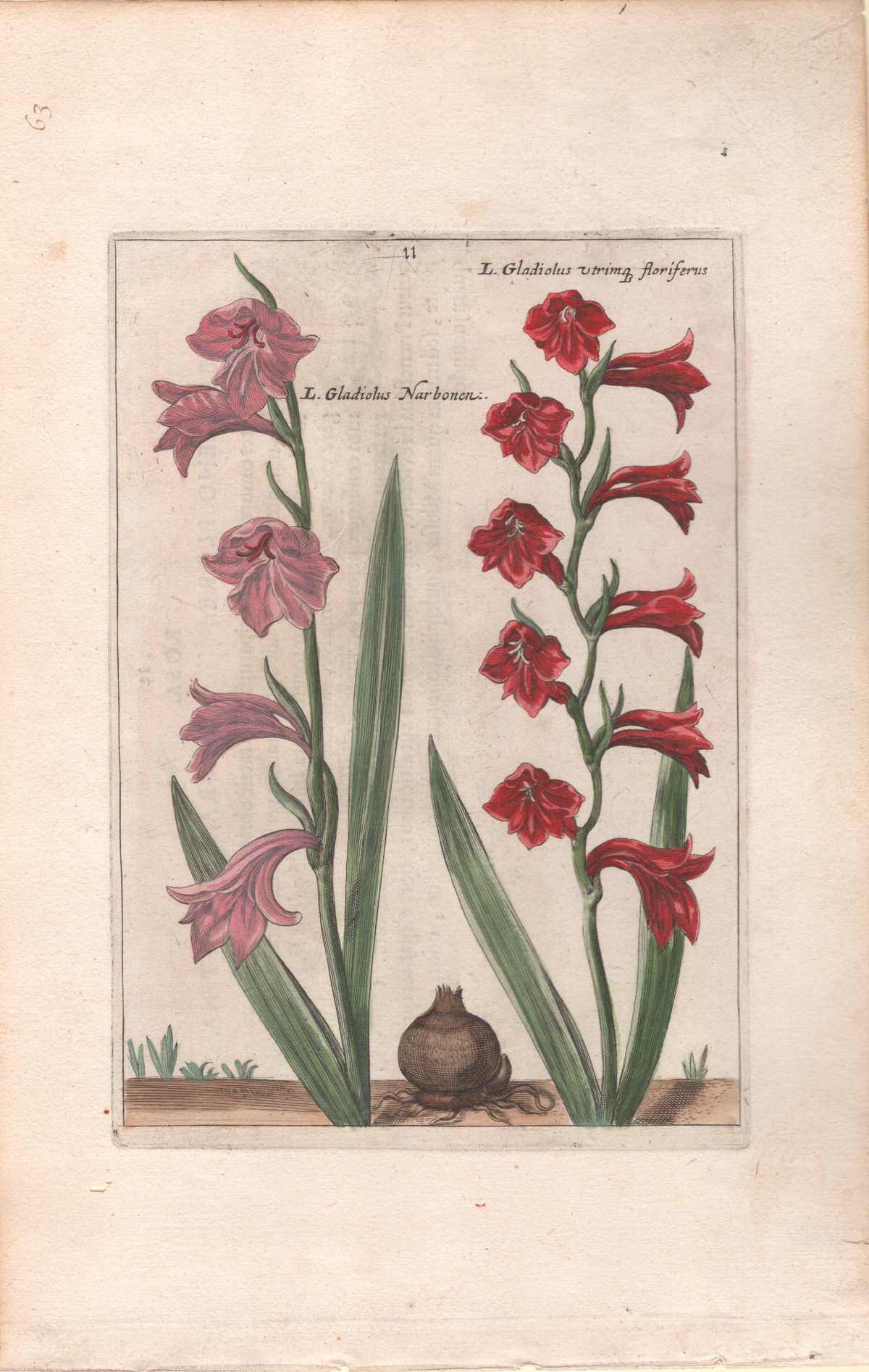 Plate 63- By Crispin van de Passe