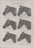[Various Bridles]