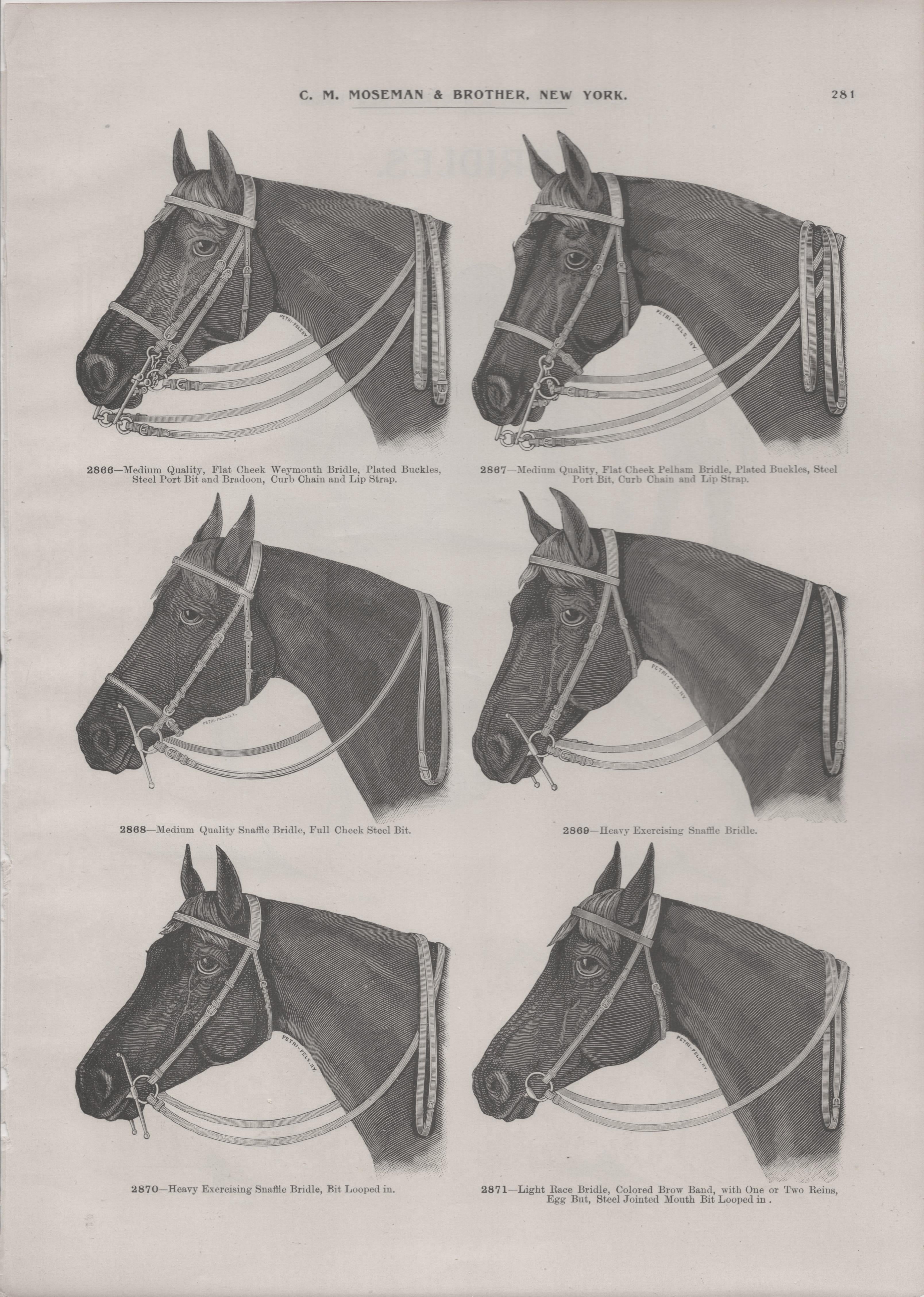 [Various Bridles]