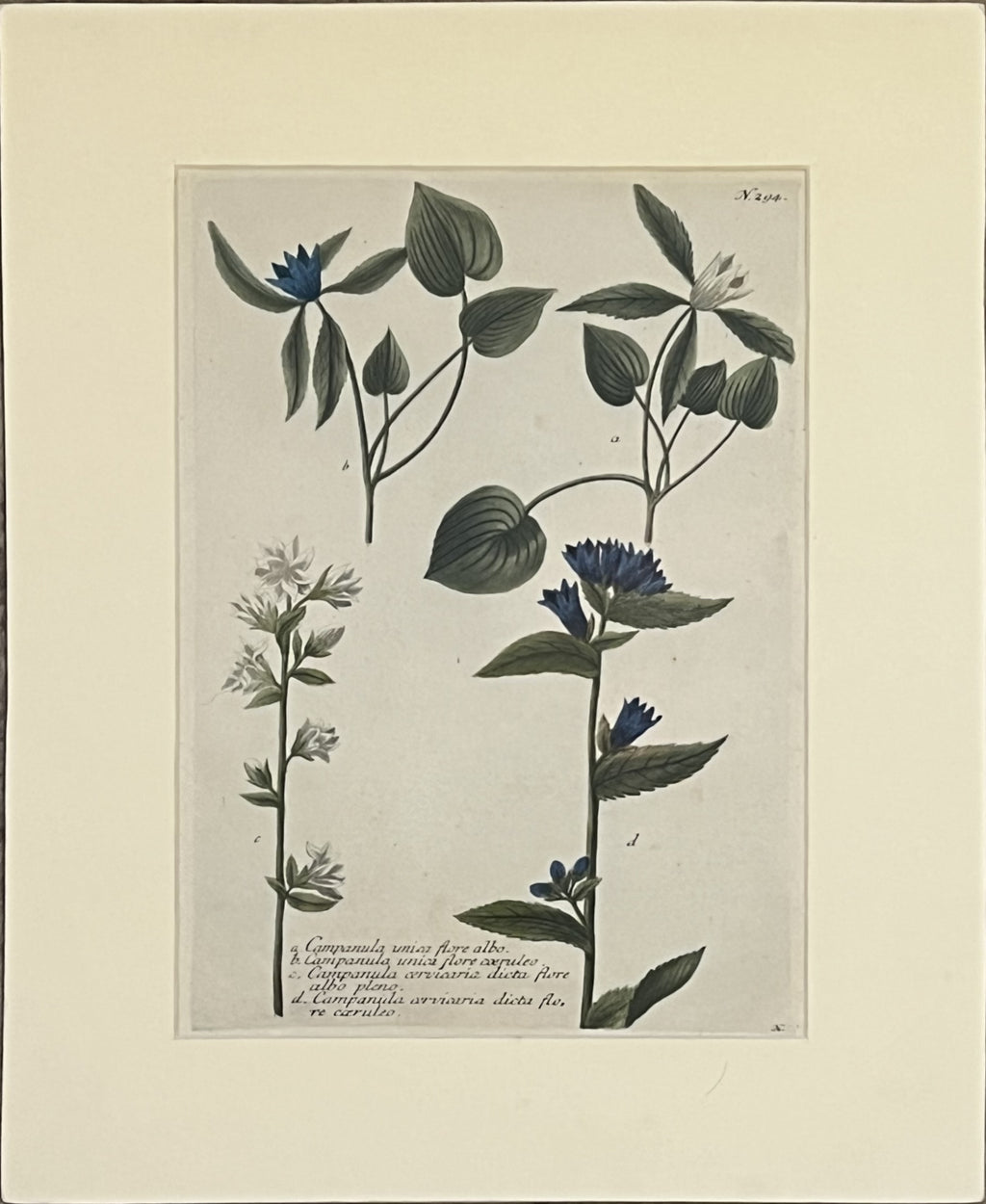 N. 294