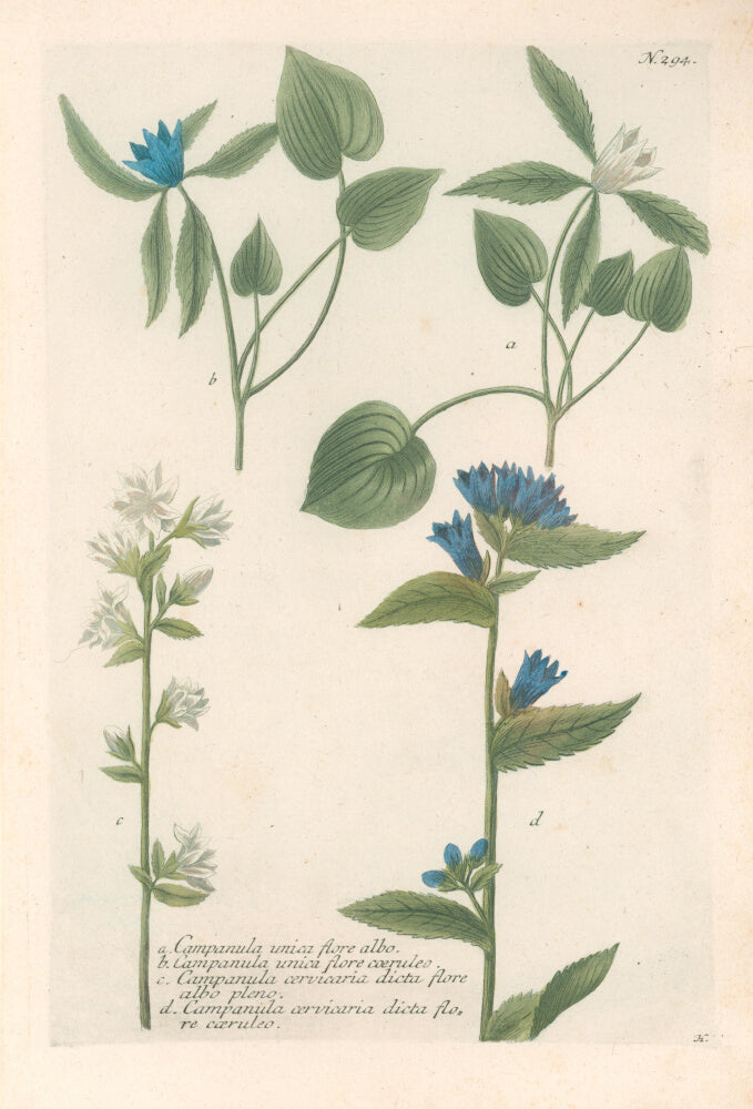 N. 294