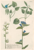 N. 294